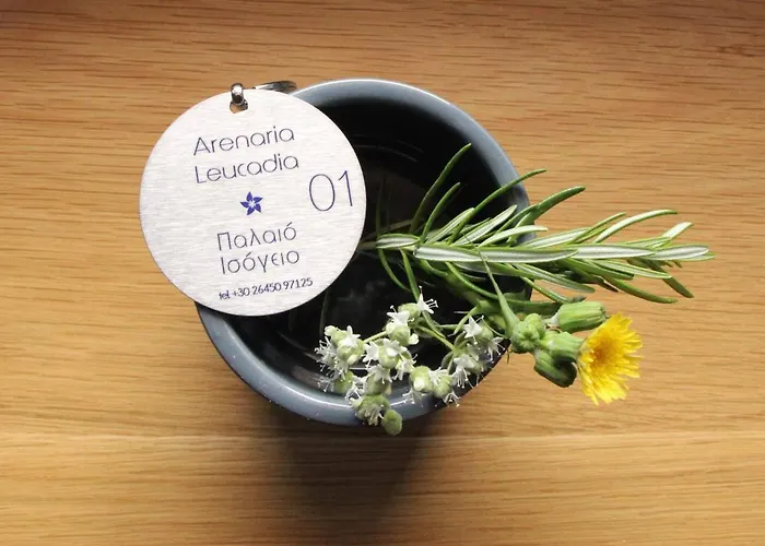 Arenaria Leucadia